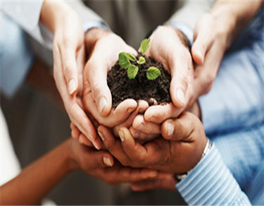 Not-for-Profit Organizations/ Trusts
